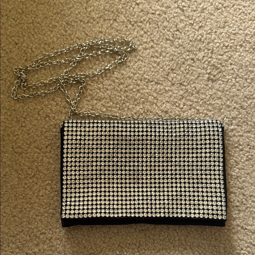 Amber Secats(Nordstrom) Silver Chain Evening Bag